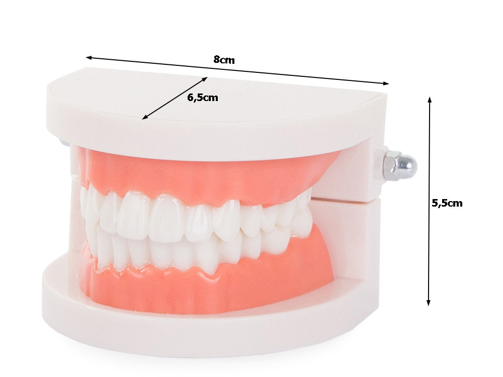 8f56d5cfe5ee172698377178ce6313ee 8f56d5cfe5ee172698377178ce6313ee